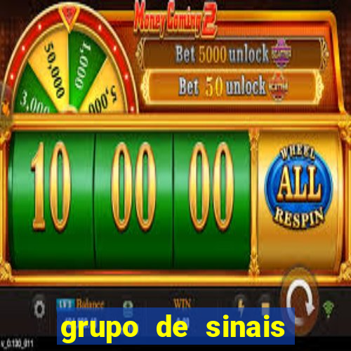 grupo de sinais fortune rabbit